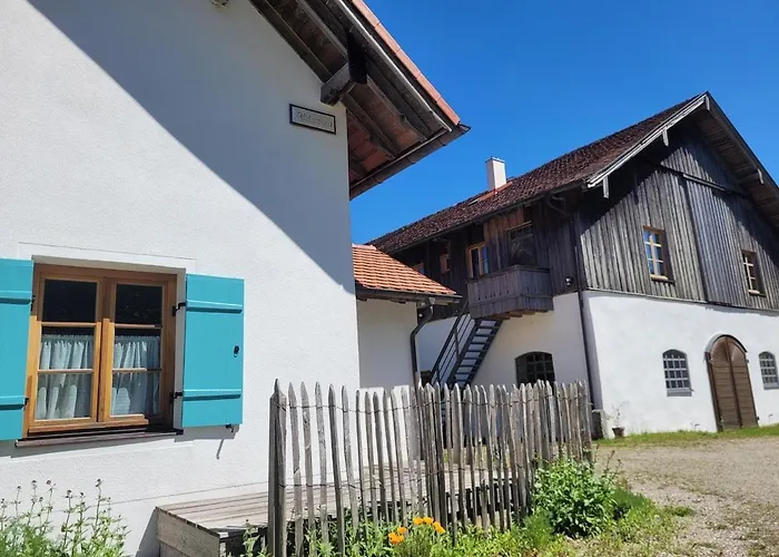 Helles Auf Waldlichtung Dießen am Ammersee