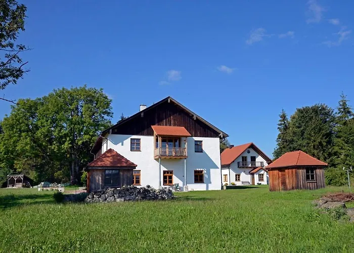 Helles Auf Waldlichtung *