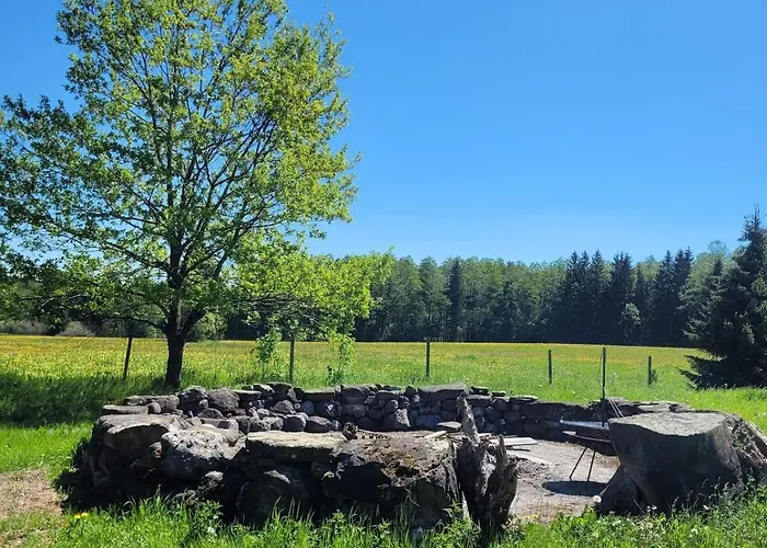 Helles Auf Waldlichtung *