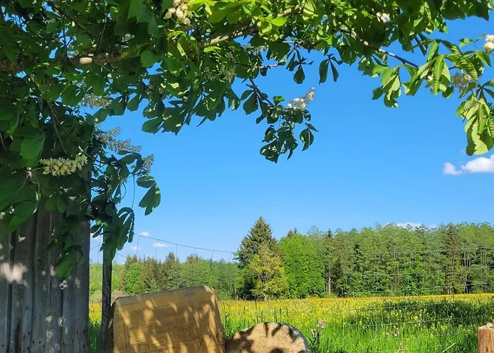 Hébergement de vacances Helles Auf Waldlichtung
