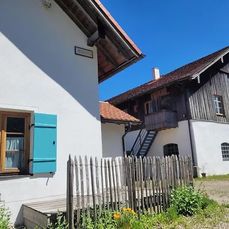 Helles Auf Waldlichtung Dießen am Ammersee