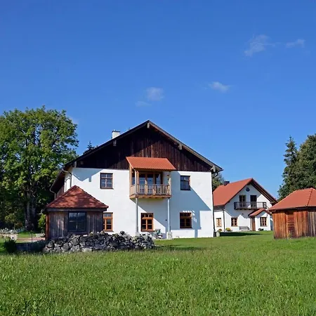 Helles Auf Waldlichtung *