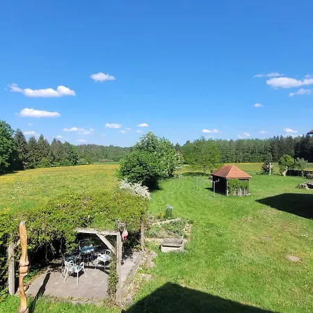 Helles Auf Waldlichtung Dießen am Ammersee