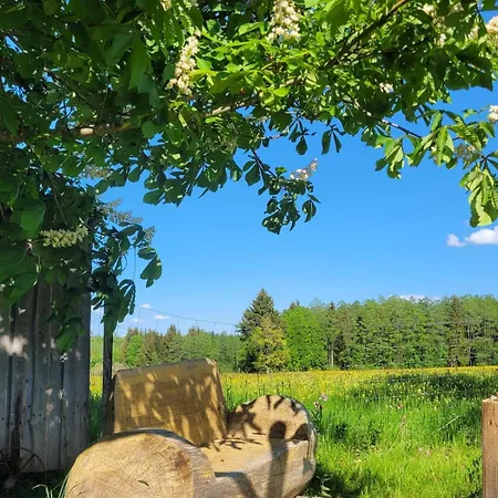 Hébergement de vacances Helles Auf Waldlichtung