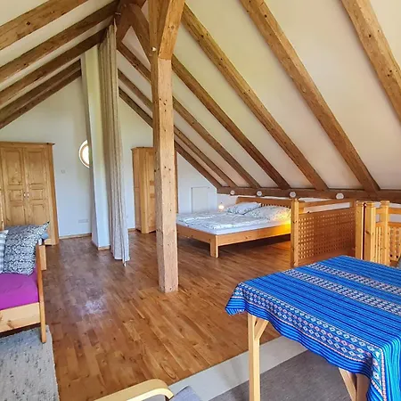 Helles Auf Waldlichtung *