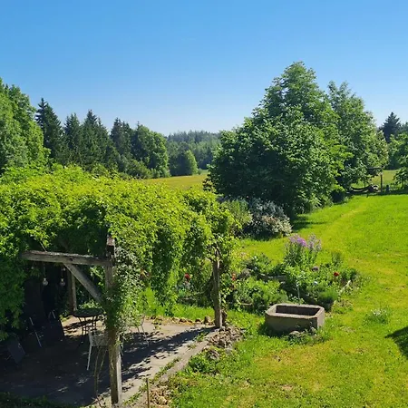 Helles Auf Waldlichtung * Dießen am Ammersee