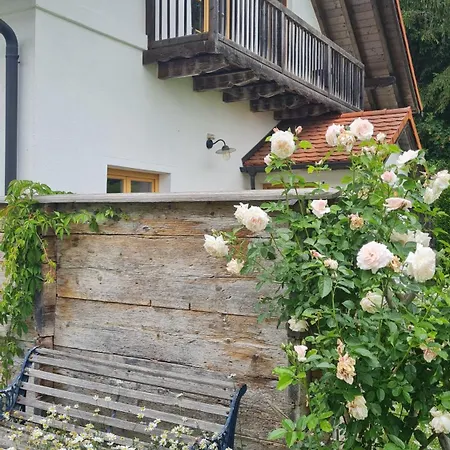 Helles Auf Waldlichtung Hébergement de vacances