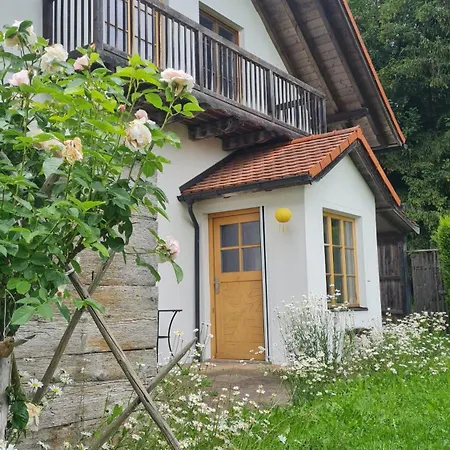 Helles Auf Waldlichtung