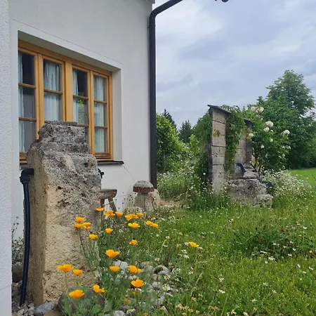 Helles Auf Waldlichtung Hébergement de vacances *